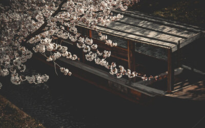 Sukiyaki Boat in Fushimi, Kyoto, Japan