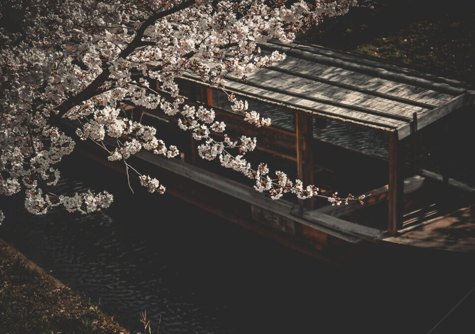 Sukiyaki Boat in Fushimi, Kyoto, Japan